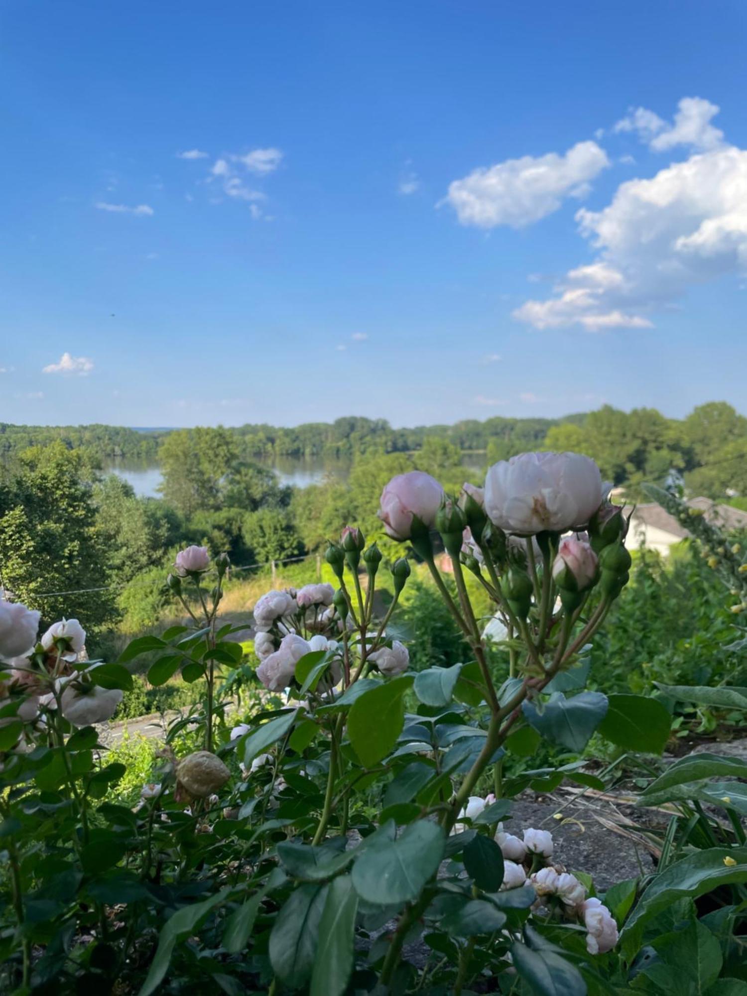 Gite Des Perreyeurs - Maison Troglodyte Avec Vue Sur Loire มองต์โซโร ภายนอก รูปภาพ